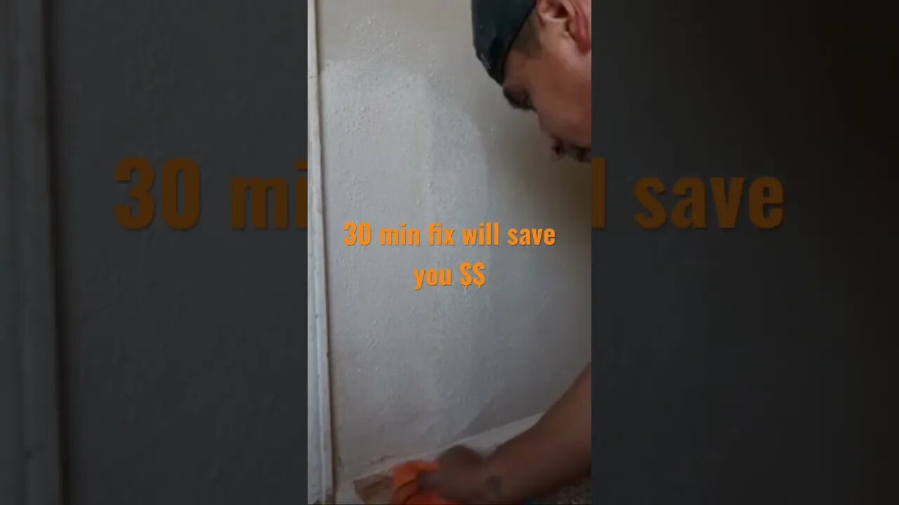 Dog scratches on drywall this will save you $$