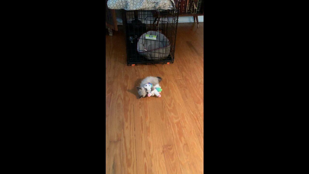 Baby Mittsy with first unicorn