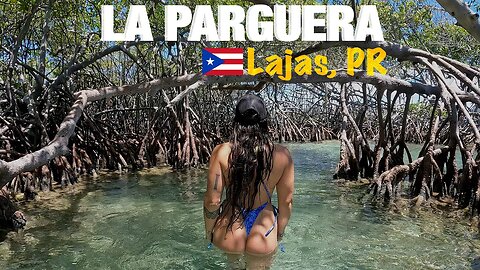 Cayo Enriquito, La Parguera | Puerto Rico