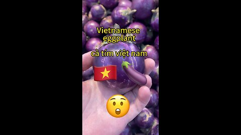 Vietnamese eggplant🇻🇳 #hansen #catim #cadaide #eggplant #vietnam