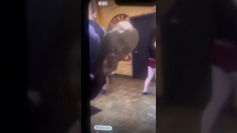 Karen gets beat up 2023