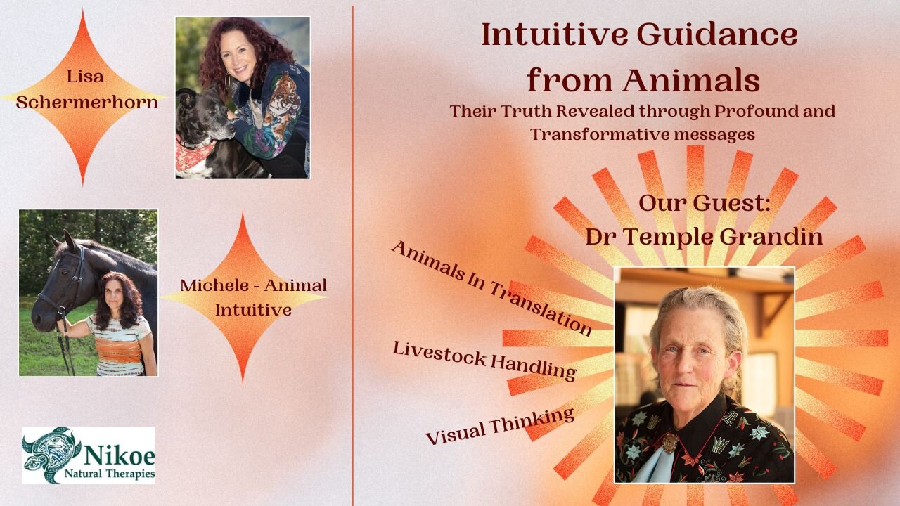 Dr Temple Grandin - Sensitivities of Autistic People, Livestock Handling, Visual Thinkers
