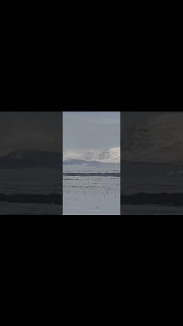 My Evening View 3 16 23