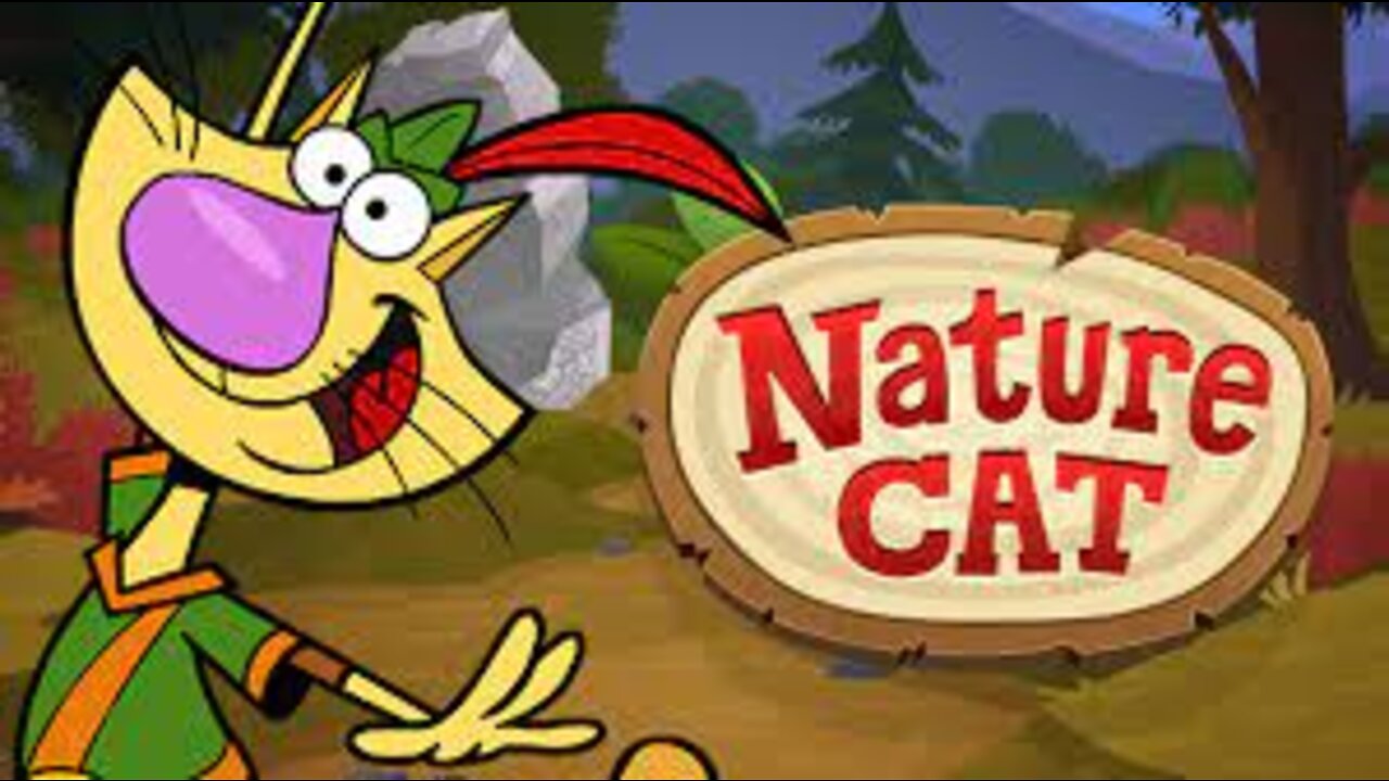 Nature Cat in Fine Feather Feasts! PBS Kids Game Playthrough! (Made for Kids)