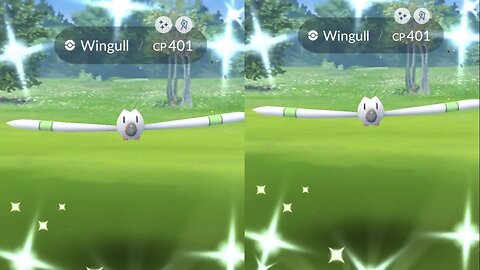 My Reaction to Shiny Wingull