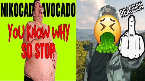 Nikocado Avocado || What The Fuctose? REACTION!!! (BBT)