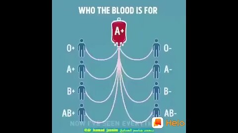 types of blood