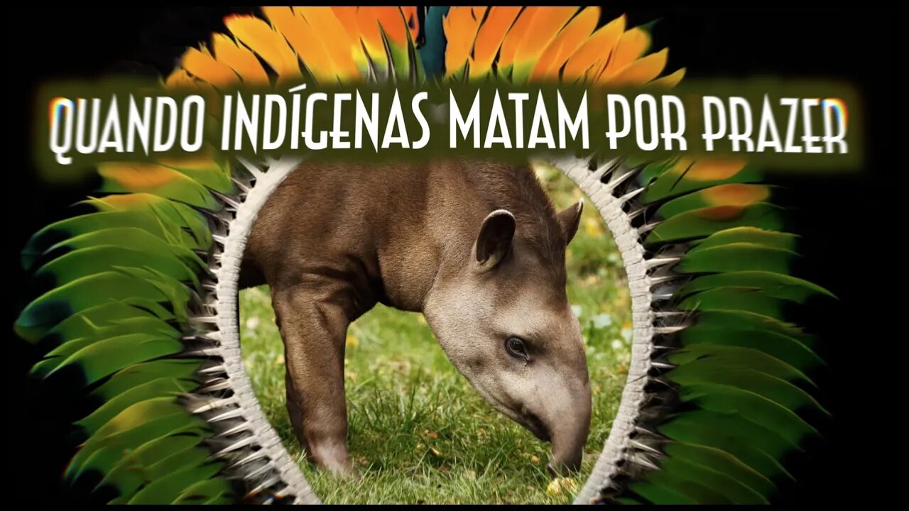 Quando indígenas matam por prazer! - Emerson Martins Video Blog 2023