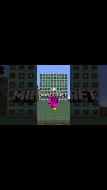 "the first minecraft item"