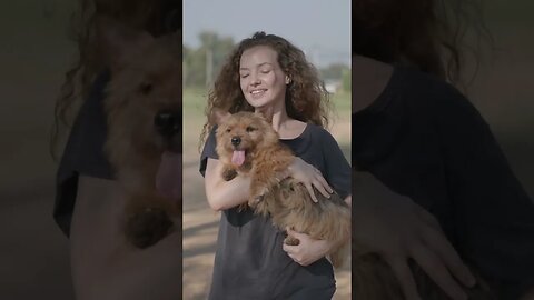 "Unconditional Love: A Dog's Blissful Moment by the Waterfall",#shortvideo,#dog,#animallover,#love