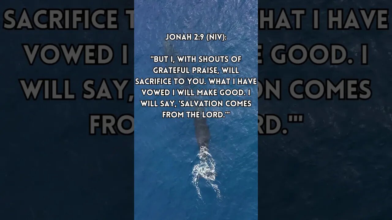 Gratitude Stops Anxiety: Prayer for Gratitude #shorts