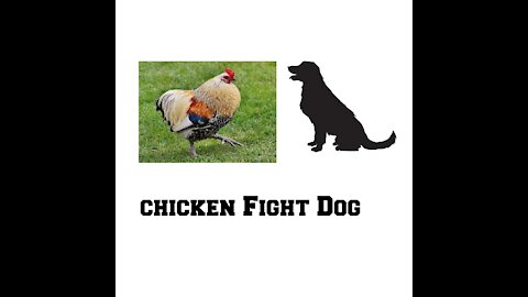 Chicken Power
