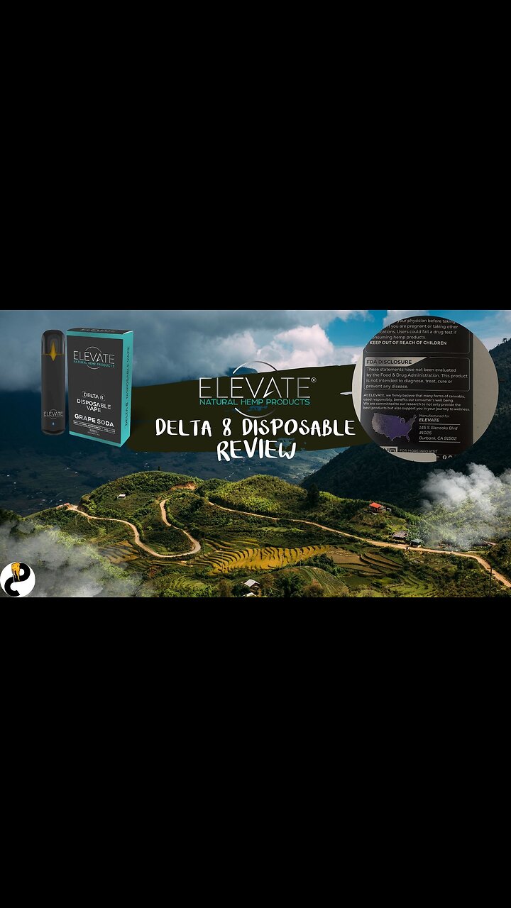 ELEVATE Delta 8 Disposable Review - Relatively Average