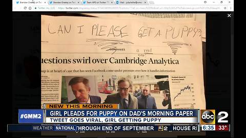 Little girl's plea for a puppy goes viral