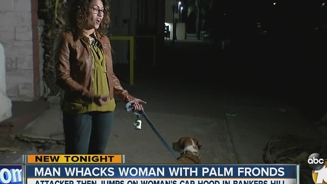 Man whacks woman with Palm fronds in Bankers Hill