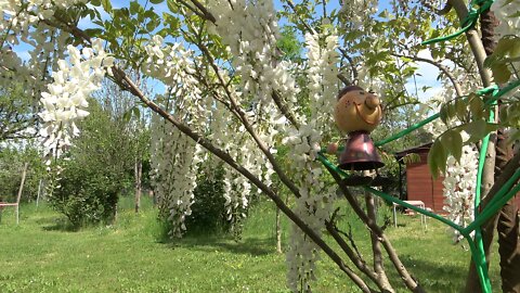 Diario politico 9 - La festa dell'okkupazione