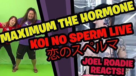 マキシマム ザ ホルモン 『恋のスペルマ』 Music Video 野外フェス映像ver. Maximum the Hormone Koi No Sperm Live - Roadie Reacts