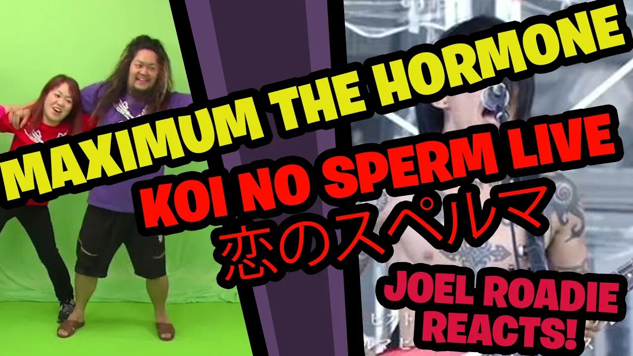 マキシマム ザ ホルモン 『恋のスペルマ』 Music Video 野外フェス映像ver. Maximum the Hormone Koi No Sperm Live - Roadie Reacts