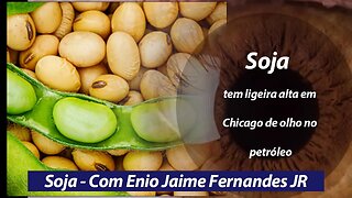 Soja tem ligeira alta em Chicago , EUA e expectativa da queda de preços dos fretes.
