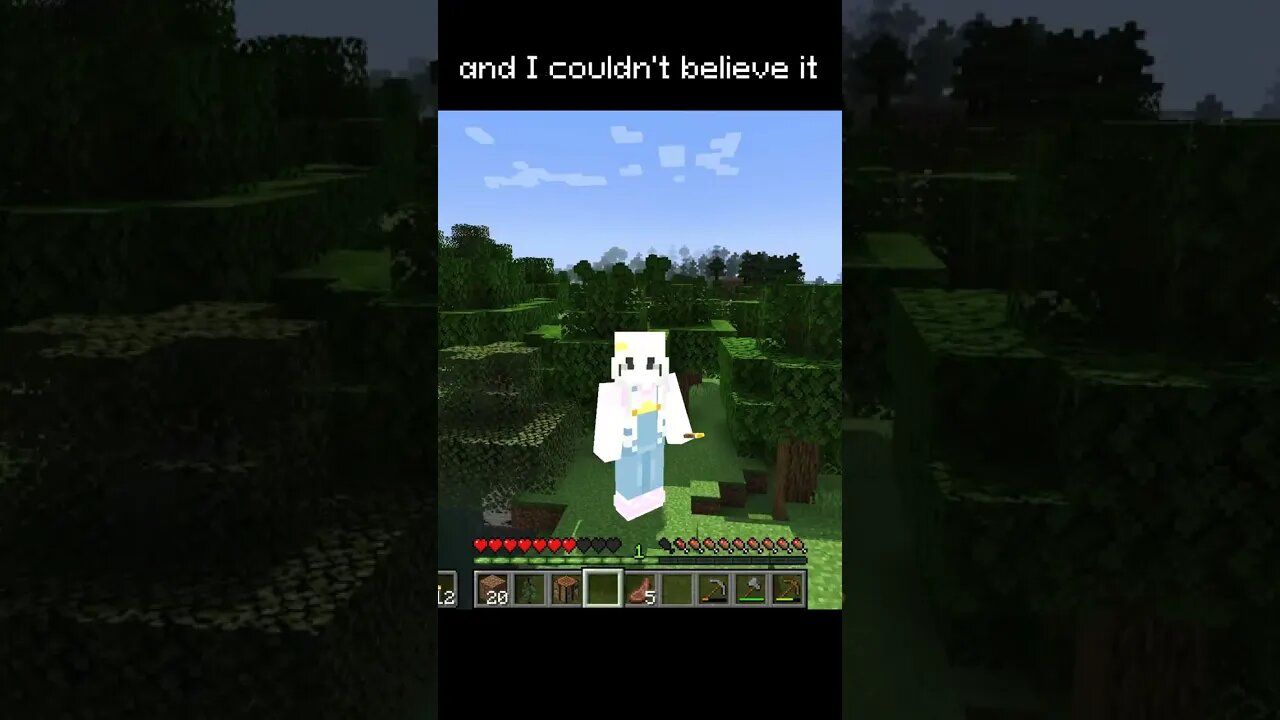 Minecraft BUT I grow bigger each time I take damage