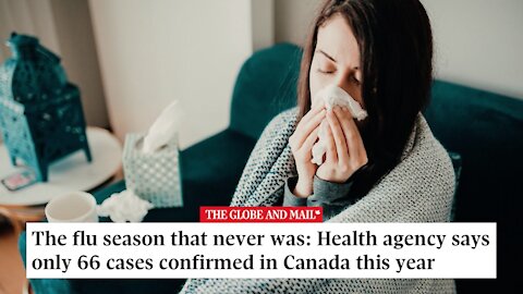 Where Did The Flu Go?