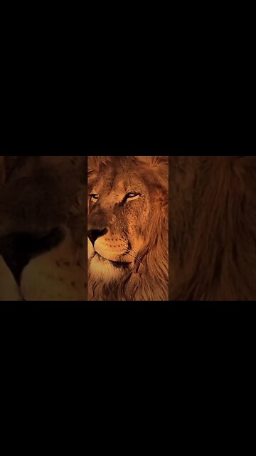 You have greatness within you, #nevergiveup #business #1 #life #nevergiveup #YOUTUBE #entrepreneur