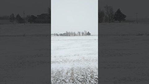 HORIZONTAL snow on the prairie.