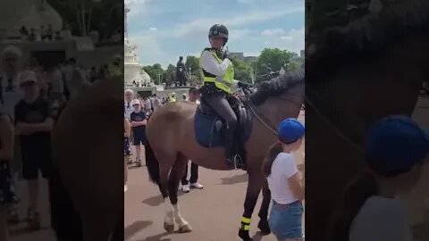 4 moments caught on camera of tourist Disrespecting The Kings guards or the police #metpolice