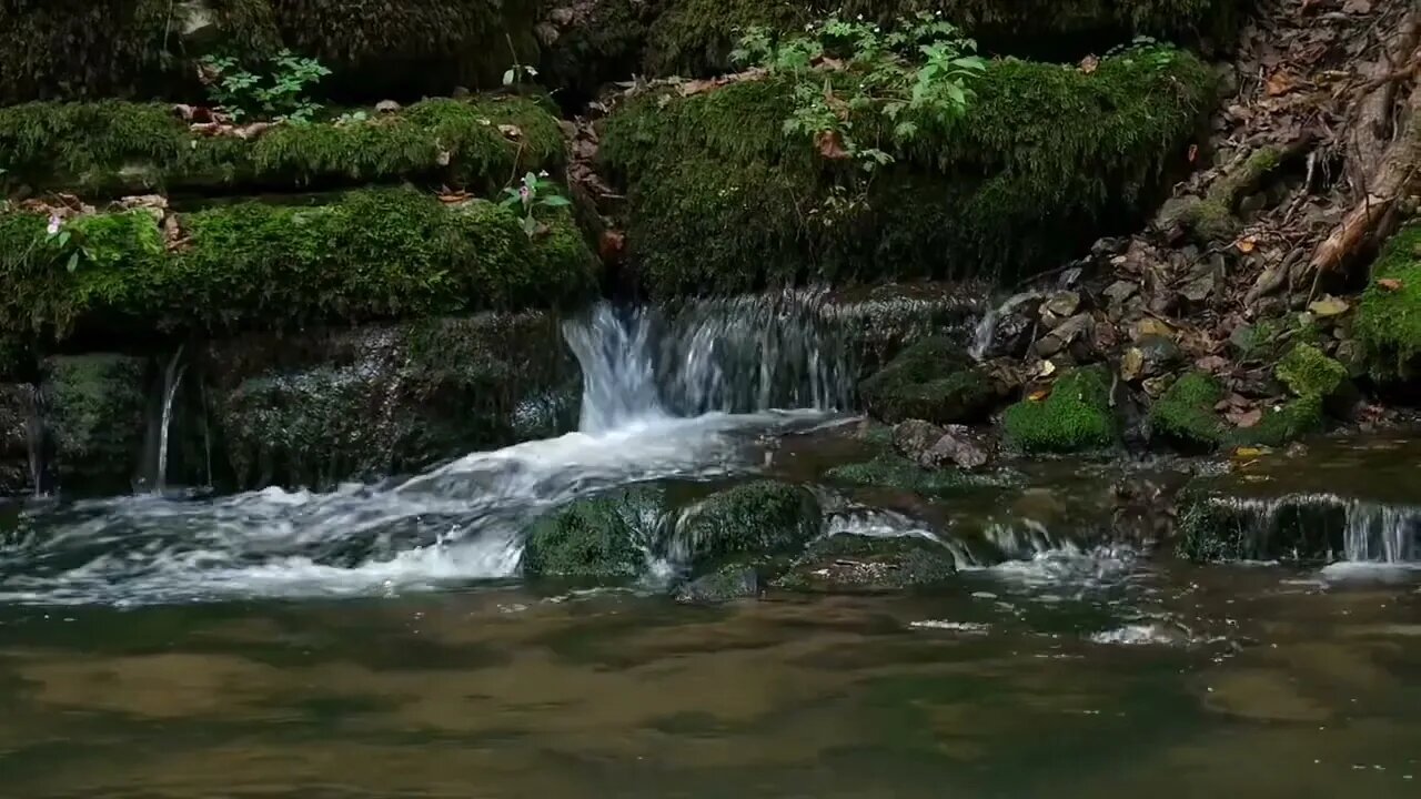 Fall Asleep Fast #meditation #rain #asmr