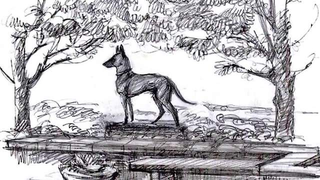 One year after Jardo's death police are still working to build Idaho's first police K-9 memorial