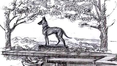 One year after Jardo's death police are still working to build Idaho's first police K-9 memorial