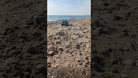 Axial SCX24 Beach Day Short