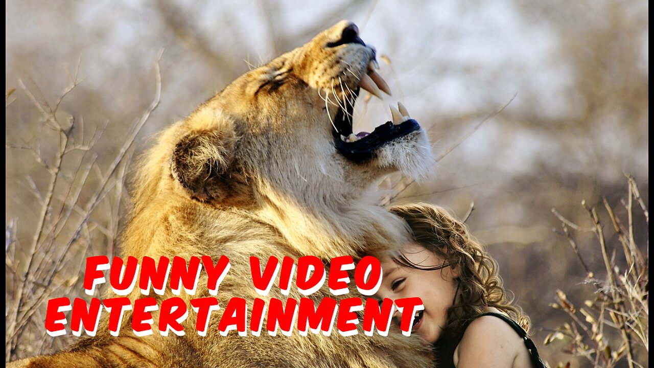 Troll Prank Dog Funny & fake Lion and Fake Tiger Prank To dog & Huge Box Prank to dog