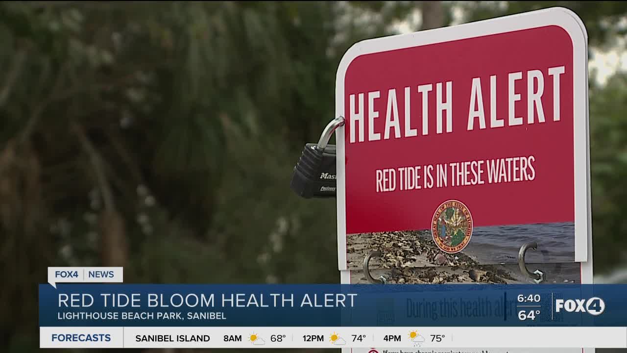 Red tide bloom health alert