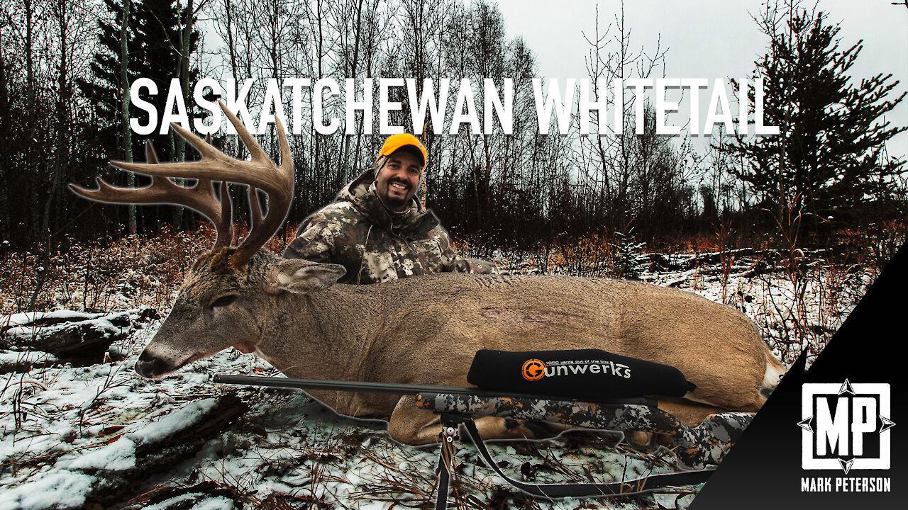 Whitetail Deer Hunt: Saskatchewan Canada