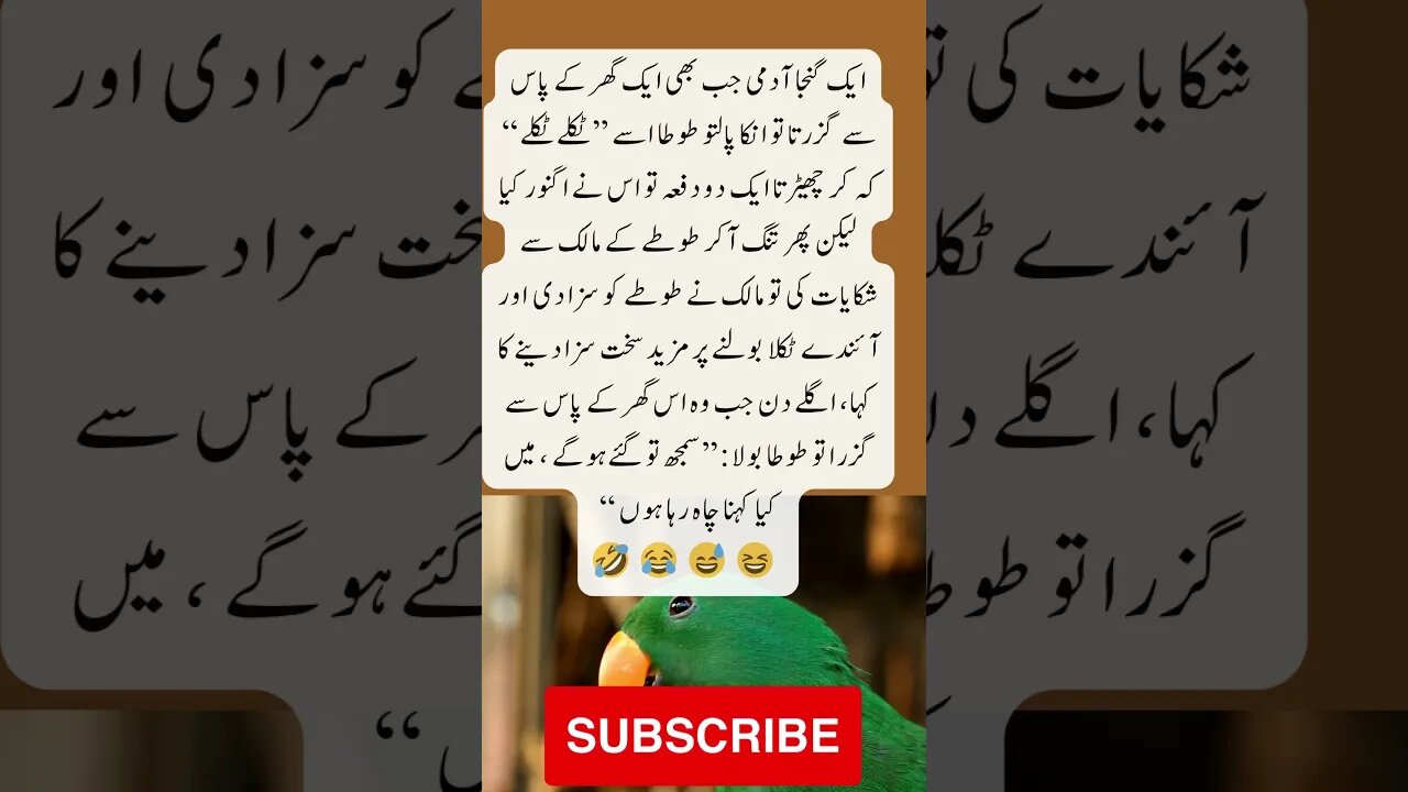 Parrot teasing bald man | interesting facts | funny quotes | joke in Urdu