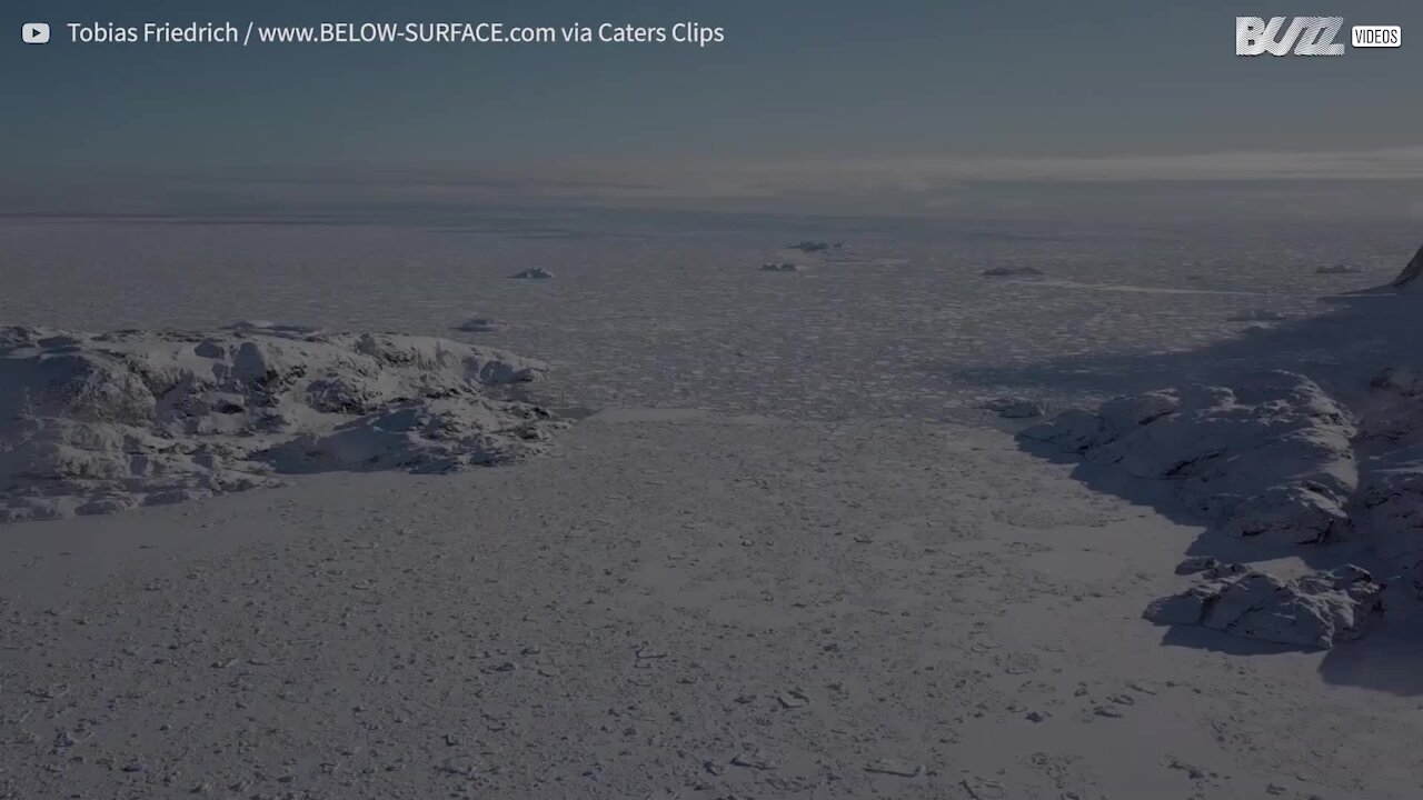 Mergulhadora nada debaixo de glaciares na Gronelândia