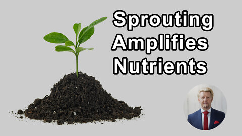 Sprouting Amplifies The Average Nutrient By 8 Times