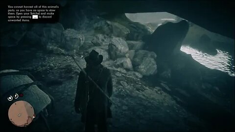 RDO on PC