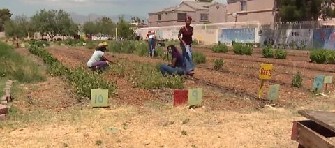 Gardening for your mental health