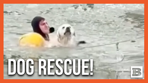 Man Jumps into Icy Pond to Rescue Very Cold Dog