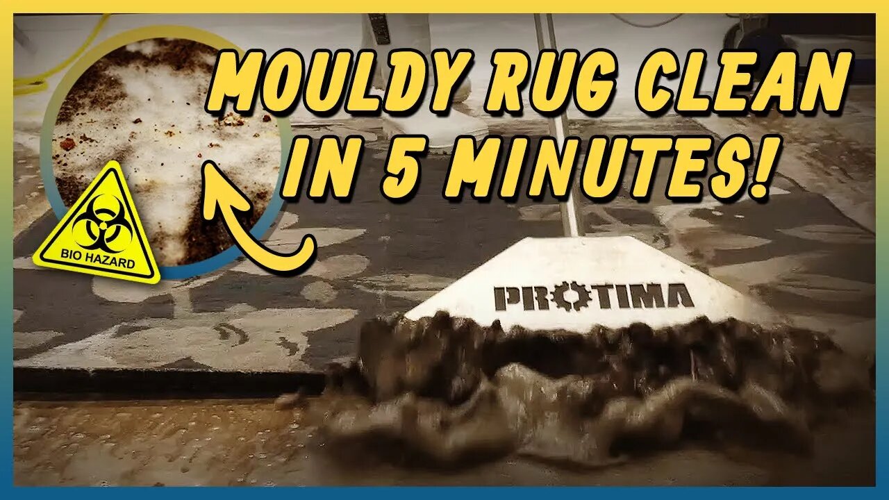 Hazardous Mouldy Rug Clean | Satisfying Carpet Cleaning | In Under 5 Minutes