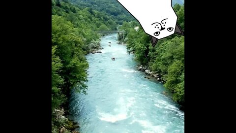 A beautiful river A beautiful forest with fast flowing water