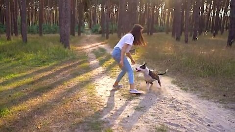 Cute dog || dog playing || baby dog playing