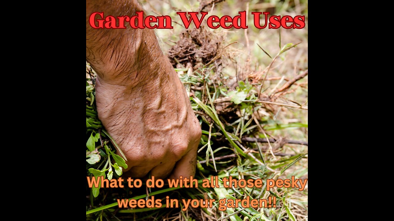 Garden weed uses