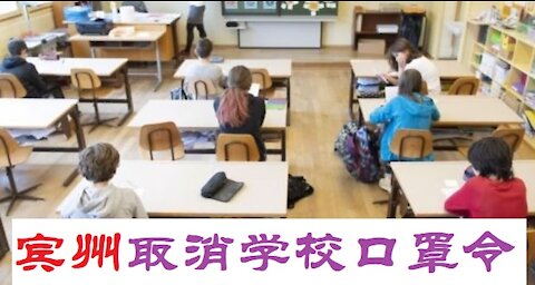 宾州法院取消学校的口罩令，口罩的必要性？- 20211211