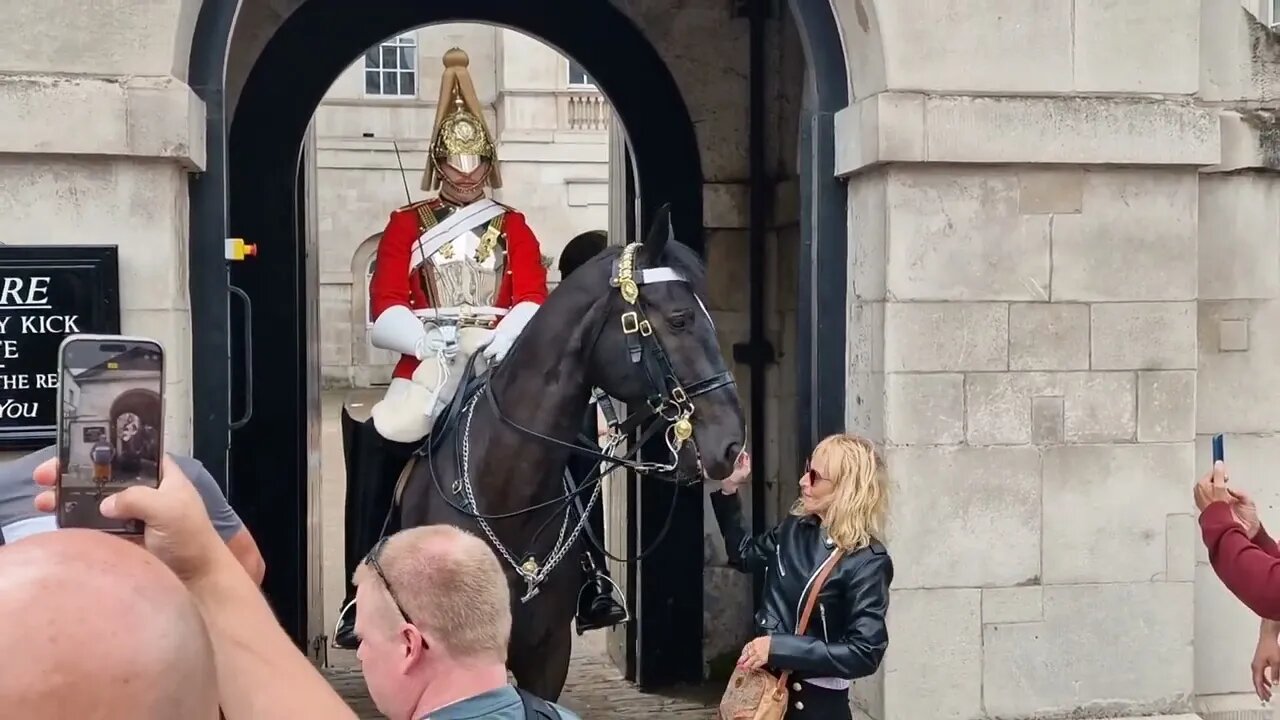 Horse reacting to 5 different tourist's #horseguardsparade