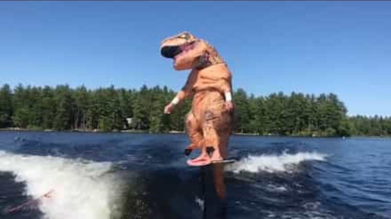 T-Rex dyrker wakesurfing på en sø i New Hampshire