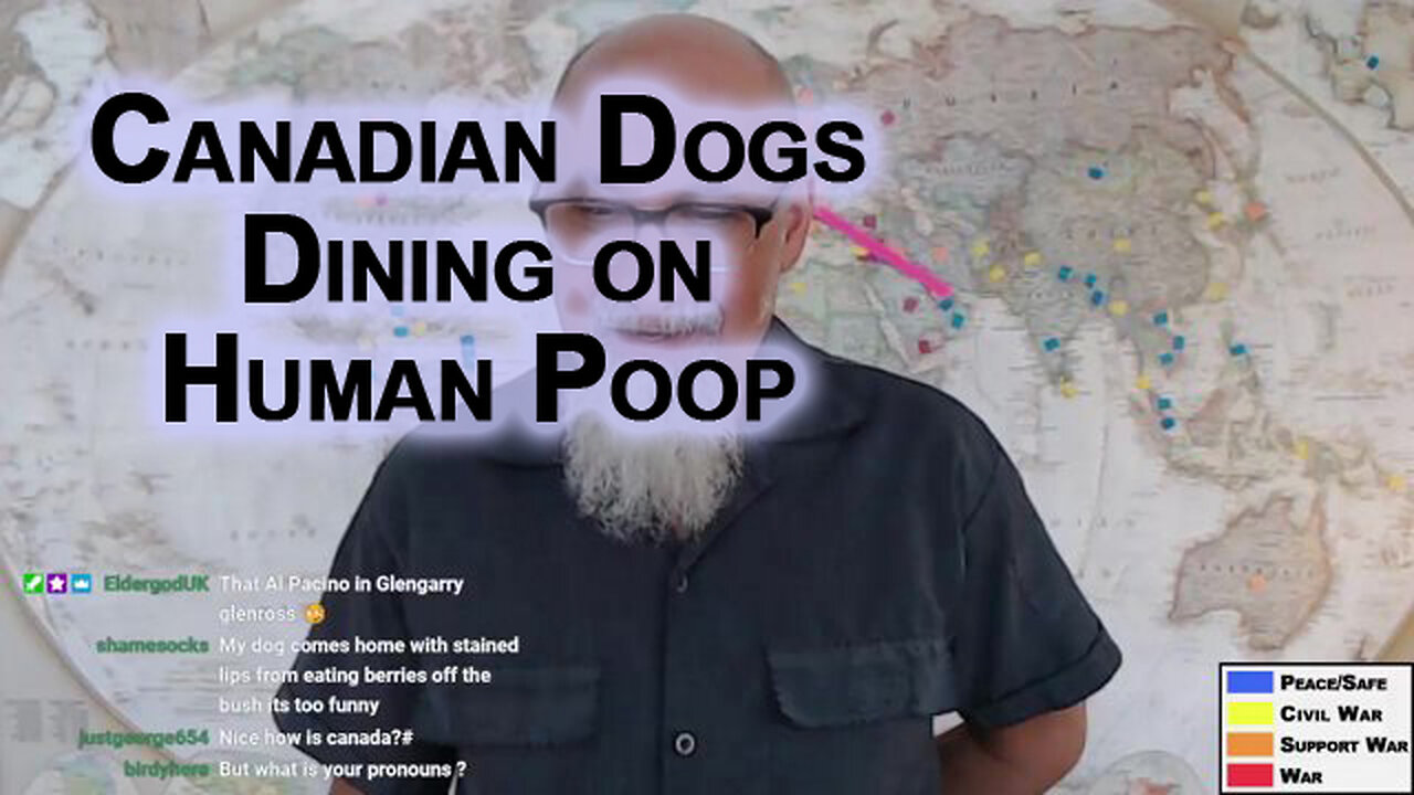 Homelessness in Canada Is So Prevalent That Dogs in Parks Are Dining on Human Poop: Collapse