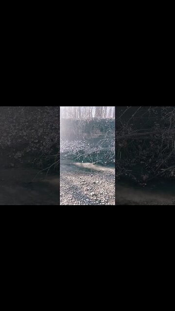 Take time out enjoy life #shorts